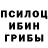 Галлюциногенные грибы Magic Shrooms Scott Speed