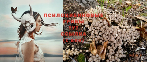 прущий лед Вязники