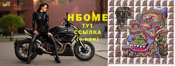 дживик Вязьма