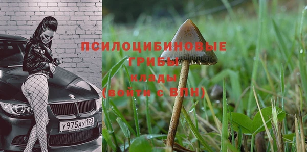 дживик Вязьма