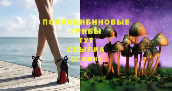 MDMA Вяземский
