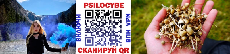 Псилоцибиновые грибы мицелий Емва